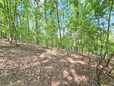 Nestled within the serene and exclusive Big Canoe community in on Big Canoe Golf Club - Cherokee in Georgia - for sale on GolfHomes.com, golf home, golf lot