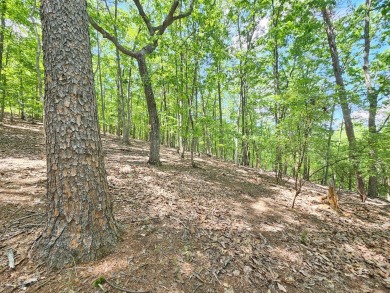 Nestled within the serene and exclusive Big Canoe community in on Big Canoe Golf Club - Cherokee in Georgia - for sale on GolfHomes.com, golf home, golf lot
