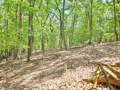 Nestled within the serene and exclusive Big Canoe community in on Big Canoe Golf Club - Cherokee in Georgia - for sale on GolfHomes.com, golf home, golf lot