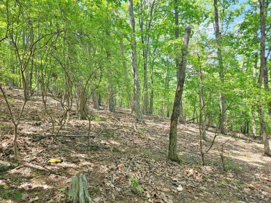 Nestled within the serene and exclusive Big Canoe community in on Big Canoe Golf Club - Cherokee in Georgia - for sale on GolfHomes.com, golf home, golf lot
