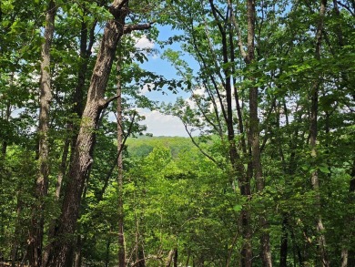 Nestled within the serene and exclusive Big Canoe community in on Big Canoe Golf Club - Cherokee in Georgia - for sale on GolfHomes.com, golf home, golf lot