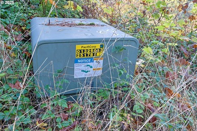 Beautiful 2.60-Acre Golf Course Lot in Ironwood Estates - on Coos Golf Course and Club in Oregon - for sale on GolfHomes.com, golf home, golf lot