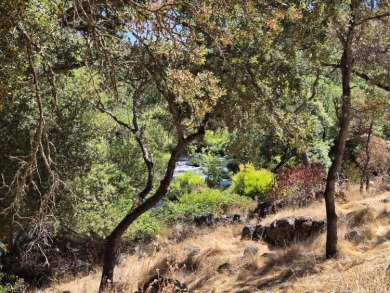 Tucked along the banks of the year-round Calaveras River, this 1 on La Contenta Golf Course in California - for sale on GolfHomes.com, golf home, golf lot