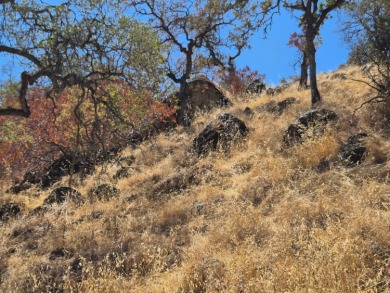 Tucked along the banks of the year-round Calaveras River, this 1 on La Contenta Golf Course in California - for sale on GolfHomes.com, golf home, golf lot
