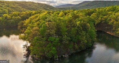 OVER 550 FEET OF SHORELINE! This is a fabulous opportunity to on Big Canoe Golf Club - Cherokee in Georgia - for sale on GolfHomes.com, golf home, golf lot