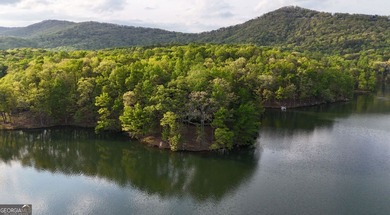 OVER 550 FEET OF SHORELINE! This is a fabulous opportunity to on Big Canoe Golf Club - Cherokee in Georgia - for sale on GolfHomes.com, golf home, golf lot