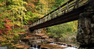 OVER 550 FEET OF SHORELINE! This is a fabulous opportunity to on Big Canoe Golf Club - Cherokee in Georgia - for sale on GolfHomes.com, golf home, golf lot