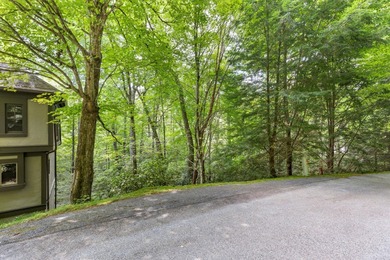 Ultimate privacy yet tied into all the action! At the end of a on Trillium Links in North Carolina - for sale on GolfHomes.com, golf home, golf lot