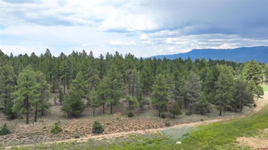 Chase K Girard, Ponderosa Real Estate The Source For Real Estate on The Divide Ranch and Club in Colorado - for sale on GolfHomes.com, golf home, golf lot