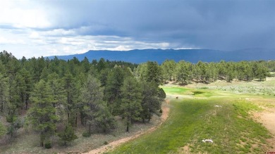 Chase K Girard, Ponderosa Real Estate The Source For Real Estate on The Divide Ranch and Club in Colorado - for sale on GolfHomes.com, golf home, golf lot