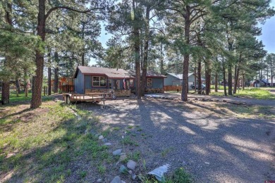 Stan Zuege, Galles Properties, , stan,  /: Comfortable home just on Pagosa Springs Golf Club in Colorado - for sale on GolfHomes.com, golf home, golf lot