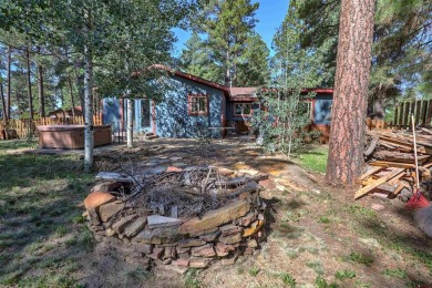 Stan Zuege, Galles Properties, , stan,  /: Comfortable home just on Pagosa Springs Golf Club in Colorado - for sale on GolfHomes.com, golf home, golf lot