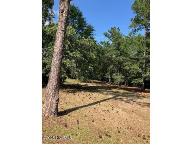 This golf course lot looks down the first fairway of the Ibis on Carolina National Golf Club in North Carolina - for sale on GolfHomes.com, golf home, golf lot