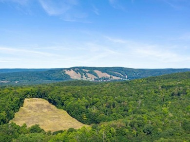 Welcome to 1185 Hideaway Valley Drive, Unit #67, a charming on Little Traverse Bay Golf Club and Restaurant in Michigan - for sale on GolfHomes.com, golf home, golf lot