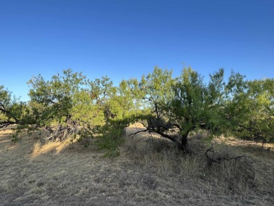 If you want to be close to the Club at Horseshoe Bay and be able on Slick Rock Golf Course - Horseshoe Bay in Texas - for sale on GolfHomes.com, golf home, golf lot