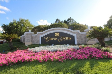 Beautifully upgraded home in the gated resort community of Terra on Skyview At Terra Vista Golf and Country Club in Florida - for sale on GolfHomes.com, golf home, golf lot