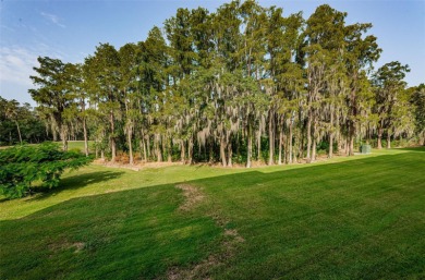 NOT IN A FLOOD ZONE! NO STORM DAMAGE from recent hurricanes NO on Innisbrook Resort and Golf Club in Florida - for sale on GolfHomes.com, golf home, golf lot