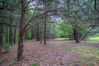 Peace, Privacy, and Possibility Await at Rock Creek Resort!

 on Rock Creek Golf Club in Texas - for sale on GolfHomes.com, golf home, golf lot
