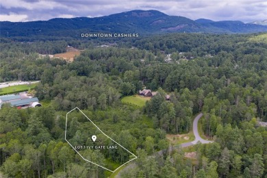 Lot 1 Ivy Gate Lane presents a rare opportunity to own an on High Hampton Inn and Country Club in North Carolina - for sale on GolfHomes.com, golf home, golf lot