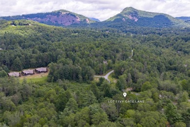Lot 1 Ivy Gate Lane presents a rare opportunity to own an on High Hampton Inn and Country Club in North Carolina - for sale on GolfHomes.com, golf home, golf lot