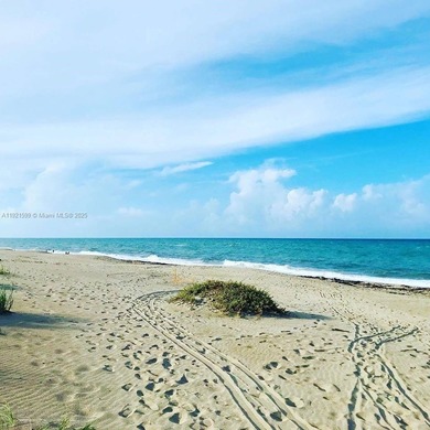 Beautiful totally renovated corner unit1 bedroom 1 bath, first on Ocean Village Golf Course in Florida - for sale on GolfHomes.com, golf home, golf lot
