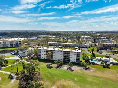 Welcome to this renovated 2-bedroom, 2-bathroom condo in the on Pinebrook/Ironwood Golf Course in Florida - for sale on GolfHomes.com, golf home, golf lot