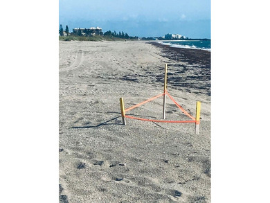 Beautiful totally renovated corner unit1 bedroom 1 bath, first on Ocean Village Golf Course in Florida - for sale on GolfHomes.com, golf home, golf lot