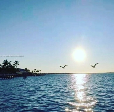 Beautiful totally renovated corner unit1 bedroom 1 bath, first on Ocean Village Golf Course in Florida - for sale on GolfHomes.com, golf home, golf lot