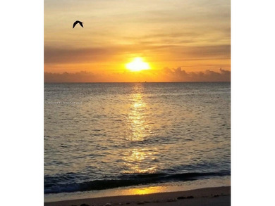 Beautiful totally renovated corner unit1 bedroom 1 bath, first on Ocean Village Golf Course in Florida - for sale on GolfHomes.com, golf home, golf lot