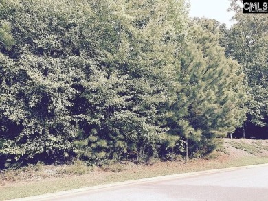 One of the last remaining golf course lots on the beautiful on Timberlake Country Club in South Carolina - for sale on GolfHomes.com, golf home, golf lot