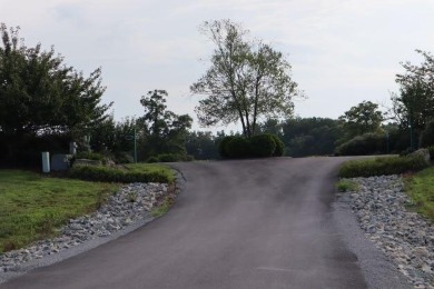 For Sale two adjacent building lots totaling over 1.5 acres on Links At Lily Creek Resort in Kentucky - for sale on GolfHomes.com, golf home, golf lot