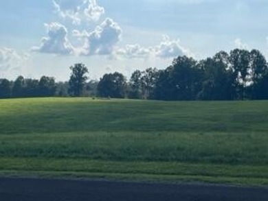 For Sale two adjacent building lots totaling over 1.5 acres on Links At Lily Creek Resort in Kentucky - for sale on GolfHomes.com, golf home, golf lot