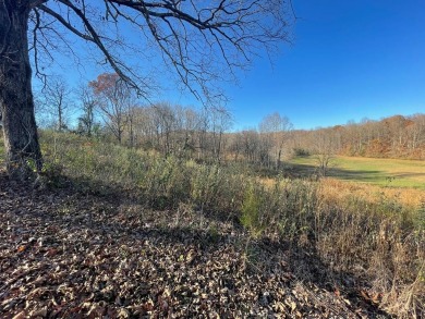 LOCATION, LOCATION, LOCATION! This 5.49-acre lot near Dale on Dale Hollow Lake Golf Course in Kentucky - for sale on GolfHomes.com, golf home, golf lot