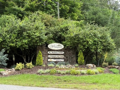 Buckhorn Estate/Whitepath Golf Course- Looking for a basement on White Path Golf Club in Georgia - for sale on GolfHomes.com, golf home, golf lot