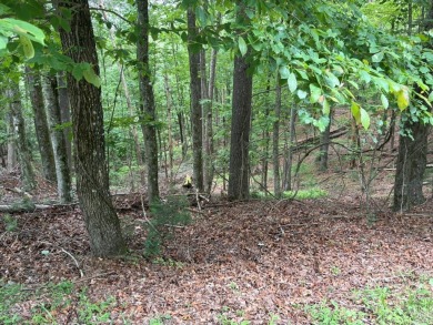 Buckhorn Estate/Whitepath Golf Course- Looking for a basement on White Path Golf Club in Georgia - for sale on GolfHomes.com, golf home, golf lot