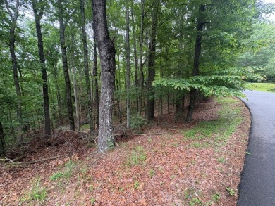 Buckhorn Estate/Whitepath Golf Course- Looking for a basement on White Path Golf Club in Georgia - for sale on GolfHomes.com, golf home, golf lot
