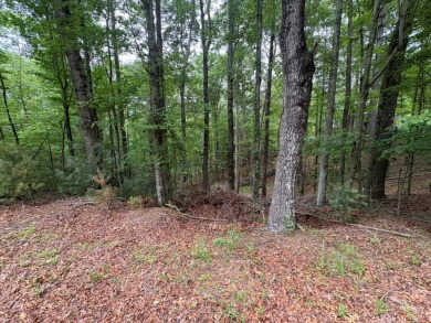 Buckhorn Estate/Whitepath Golf Course- Looking for a basement on White Path Golf Club in Georgia - for sale on GolfHomes.com, golf home, golf lot