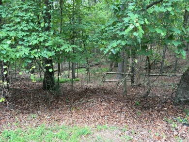 Buckhorn Estate/Whitepath Golf Course- Looking for a basement on White Path Golf Club in Georgia - for sale on GolfHomes.com, golf home, golf lot