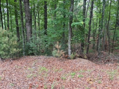 Buckhorn Estate/Whitepath Golf Course- Looking for a basement on White Path Golf Club in Georgia - for sale on GolfHomes.com, golf home, golf lot
