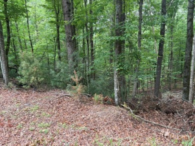 Buckhorn Estate/Whitepath Golf Course- Looking for a basement on White Path Golf Club in Georgia - for sale on GolfHomes.com, golf home, golf lot