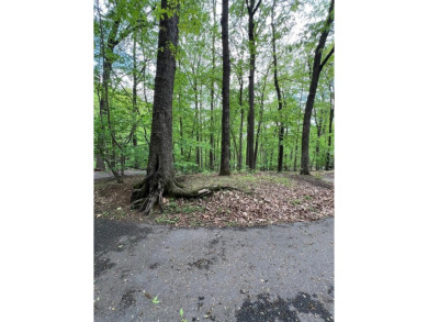 Building Lot in Big Canoe & Priced to Sell! Here's your chance on Big Canoe Golf Club - Cherokee in Georgia - for sale on GolfHomes.com, golf home, golf lot