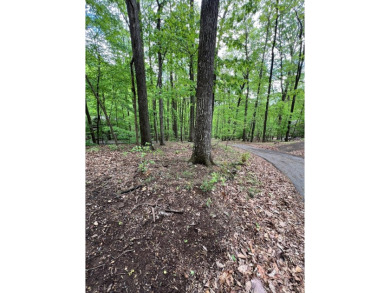 Building Lot in Big Canoe - Priced to Sell! Here's your chance on Big Canoe Golf Club - Cherokee in Georgia - for sale on GolfHomes.com, golf home, golf lot