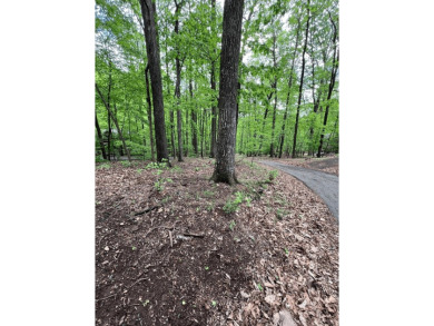 Building Lot in Big Canoe & Priced to Sell! Here's your chance on Big Canoe Golf Club - Cherokee in Georgia - for sale on GolfHomes.com, golf home, golf lot