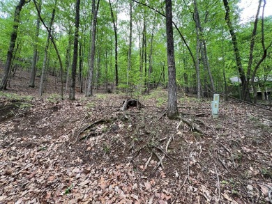 Building Lot in Big Canoe - Priced to Sell! Here's your chance on Big Canoe Golf Club - Cherokee in Georgia - for sale on GolfHomes.com, golf home, golf lot