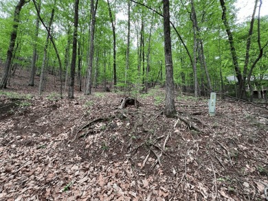 Building Lot in Big Canoe & Priced to Sell! Here's your chance on Big Canoe Golf Club - Cherokee in Georgia - for sale on GolfHomes.com, golf home, golf lot