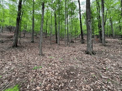 Building Lot in Big Canoe & Priced to Sell! Here's your chance on Big Canoe Golf Club - Cherokee in Georgia - for sale on GolfHomes.com, golf home, golf lot