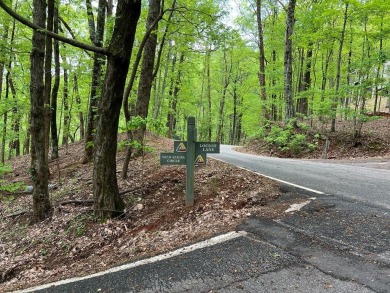 Buildable Lot in Beautiful Big Canoe - Priced to Sell! Here's on Big Canoe Golf Club - Cherokee in Georgia - for sale on GolfHomes.com, golf home, golf lot