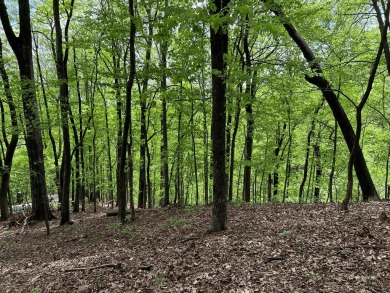 Buildable Lot in Beautiful Big Canoe & Priced to Sell! Here's on Big Canoe Golf Club - Cherokee in Georgia - for sale on GolfHomes.com, golf home, golf lot