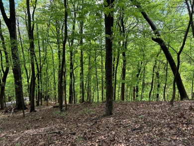 Buildable Lot in Beautiful Big Canoe - Priced to Sell! Here's on Big Canoe Golf Club - Cherokee in Georgia - for sale on GolfHomes.com, golf home, golf lot