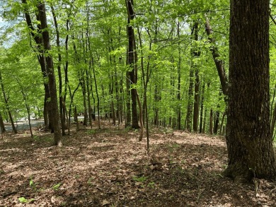 Buildable Lot in Beautiful Big Canoe & Priced to Sell! Here's on Big Canoe Golf Club - Cherokee in Georgia - for sale on GolfHomes.com, golf home, golf lot